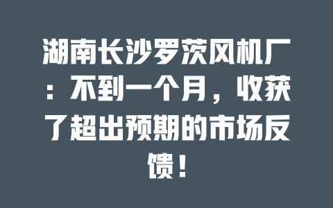 湖南長沙羅茨風機廠：不到一個月，收獲了超出預期的市場反饋！ 一