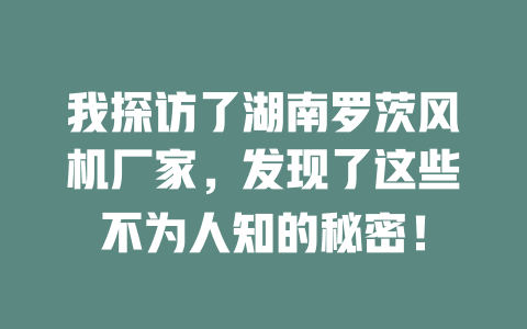 我探訪了湖南羅茨風機廠家，發(fā)現(xiàn)了這些不為人知的秘密！ 一