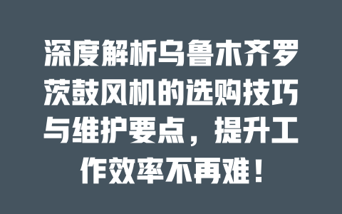 深度解析烏魯木齊羅茨鼓風(fēng)機(jī)的選購(gòu)技巧與維護(hù)要點(diǎn)，提升工作效率不再難！ 一
