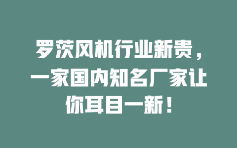 羅茨風機行業(yè)新貴，一家國內(nèi)知名廠家讓你耳目一新！ 一