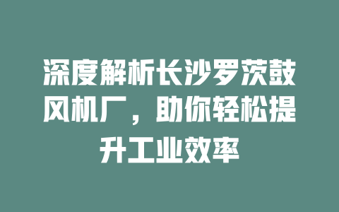 深度解析長沙羅茨鼓風機廠，助你輕松提升工業(yè)效率 一