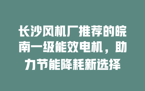 長沙風(fēng)機廠推薦的皖南一級能效電機，助力節(jié)能降耗新選擇 一