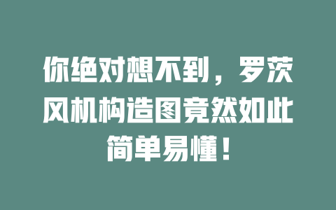 你絕對想不到，羅茨風(fēng)機構(gòu)造圖竟然如此簡單易懂！ 一