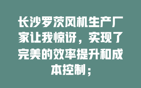 長沙羅茨風(fēng)機生產(chǎn)廠家讓我驚訝，實現(xiàn)了完美的效率提升和成本控制； 一
