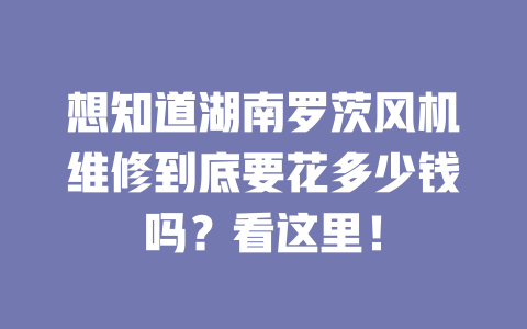 想知道湖南羅茨風機維修到底要花多少錢嗎？看這里！ 一