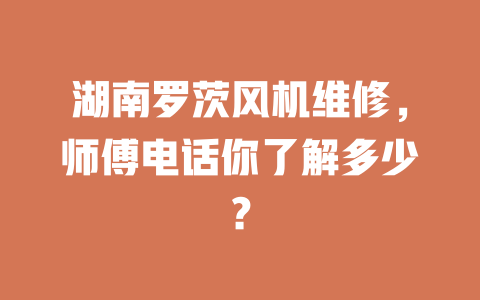 湖南羅茨風(fēng)機維修，師傅電話你了解多少？ 一