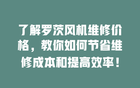 了解羅茨風機維修價格，教你如何節(jié)省維修成本和提高效率！ 一