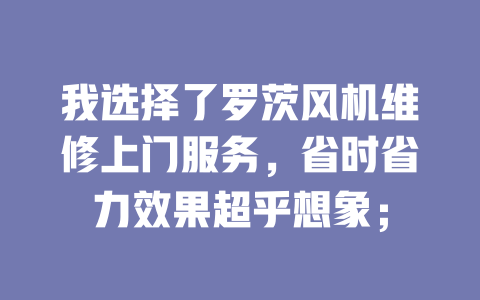 我選擇了羅茨風機維修上門服務，省時省力效果超乎想象； 一